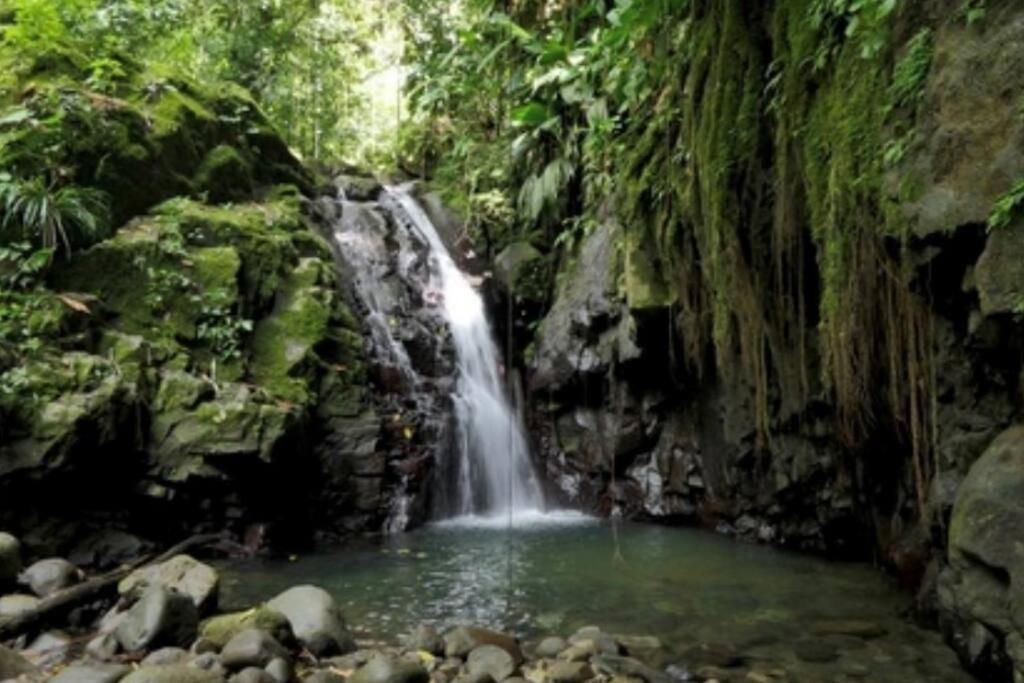 Cocon Tropical Apartman Vieux-Habitants Kültér fotó