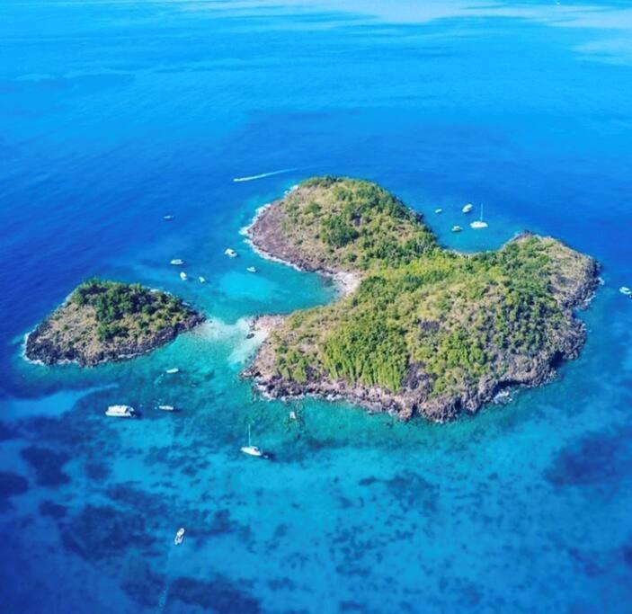 Cocon Tropical Apartman Vieux-Habitants Kültér fotó